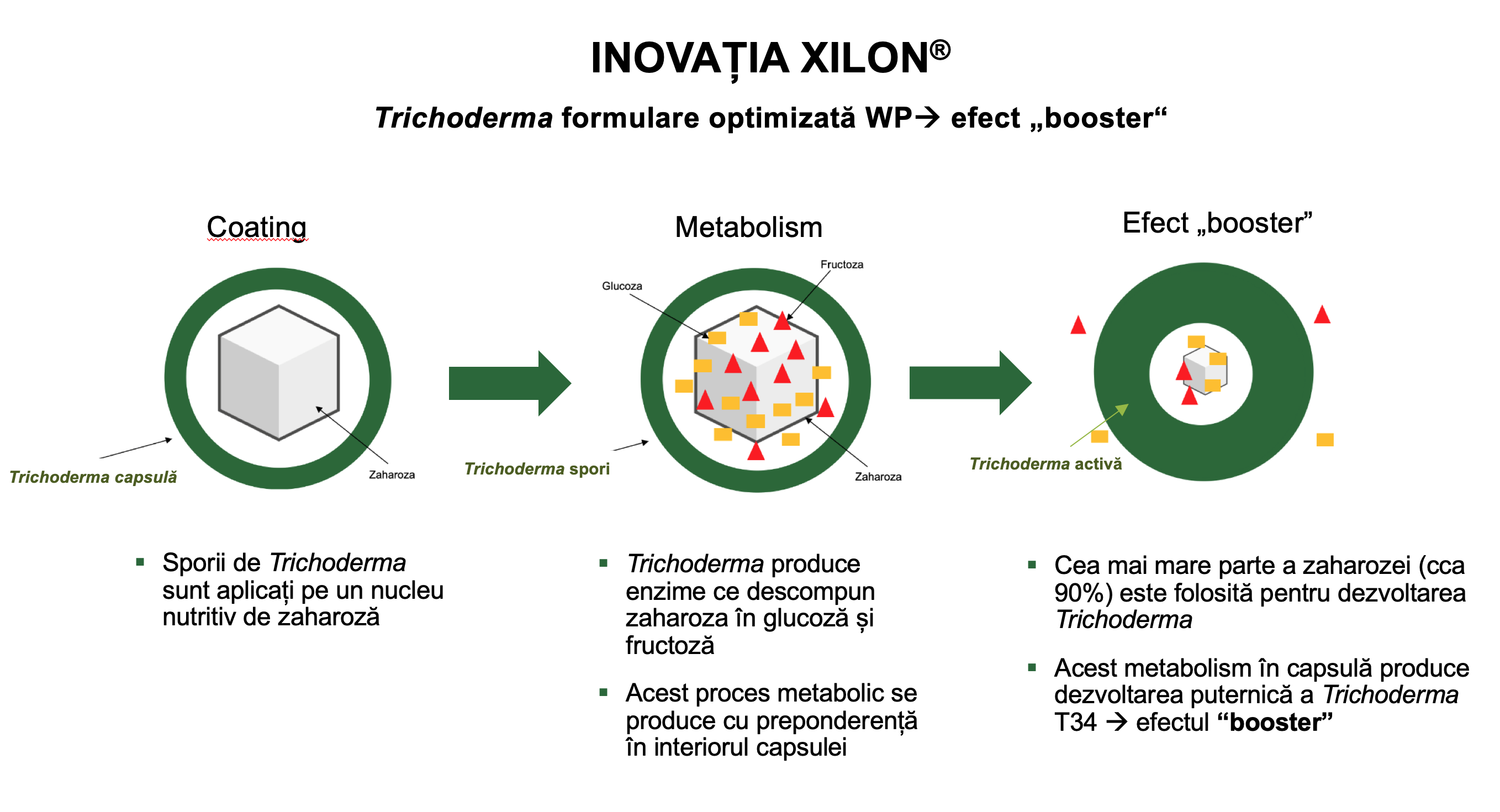 Inovația XILON - Efect booster